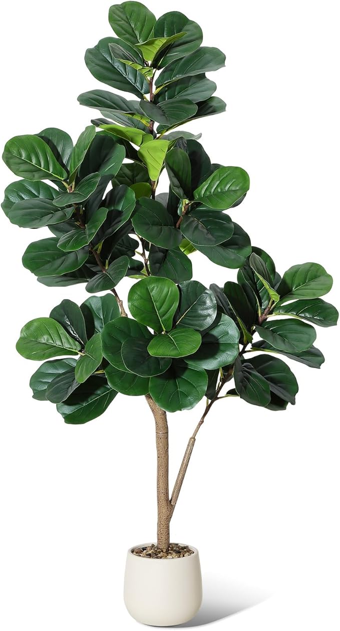 The Verde Sculptural Fig Tree