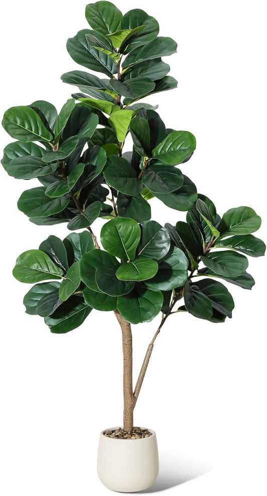 The Verde Sculptural Fig Tree