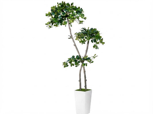 The Eden Sculptural Plant